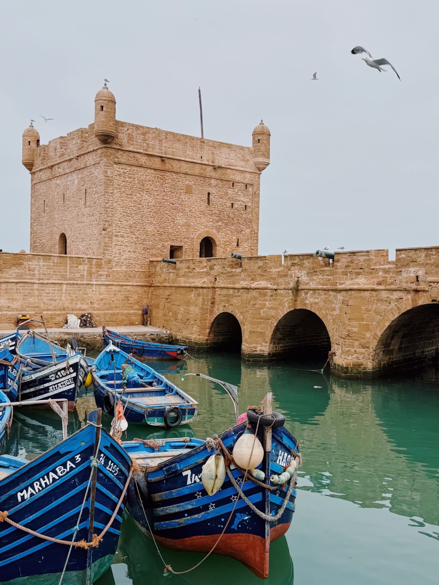 Forteresse d'Essaouira et barques bleues dans le port